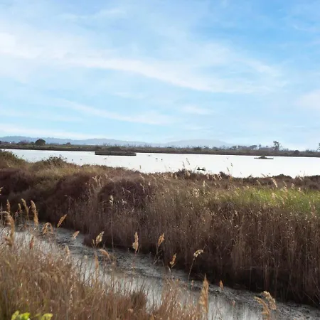 Port De La Gavine I-1 By Interhome *