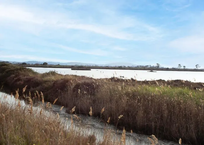 Port De La Gavine I-1 By Interhome *